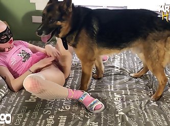 Horse Porn Bestiality