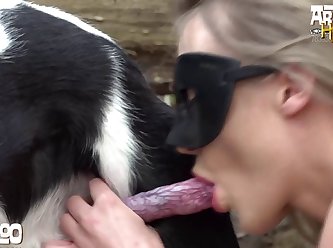 Bestiality Group Porn