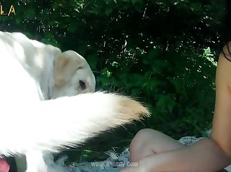 Bestiality Porn Vid