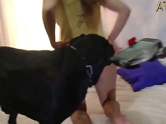 Bestiality Porn Meaning