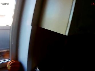 New Bestiality Porn Videos
