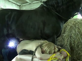 What Is It You Want He Asked Again He Lifted His