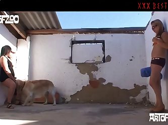 The Dark Side Of X Animal Farm