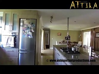 Porn Gifs Animal