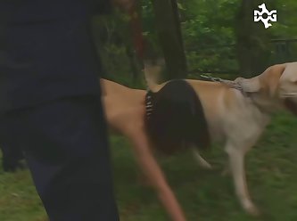 A Animal Porn