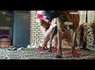 Started Really Liking It