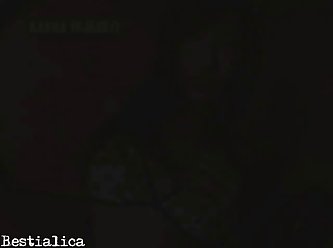 Zoo Sex Web Cam
