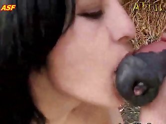 Farm Porn Zoo