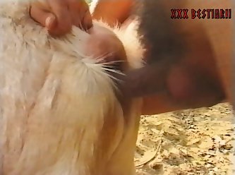 Porn Zoo Women