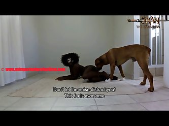 Zoofilia Cavalo Transando Com Mulher
