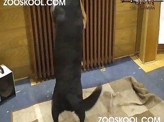 Zoofilia Sub Espanol