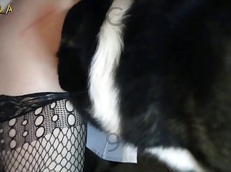 Zoofilia Mujer Hermosa
