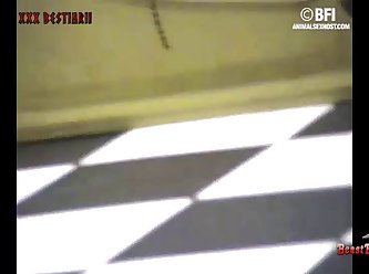 Porn Zoofilia Gif