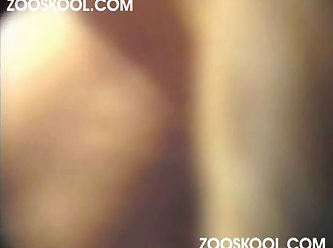 Zoofilia Con Adolescente