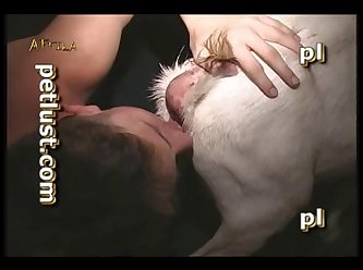Zoofilia Perro Y Mujer