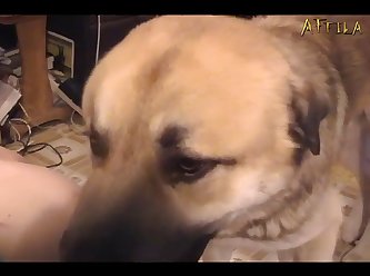 Extreme Tickle Torture Porn