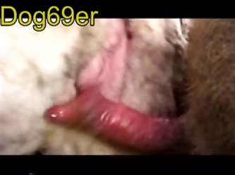 Extreme Porn Big Dick
