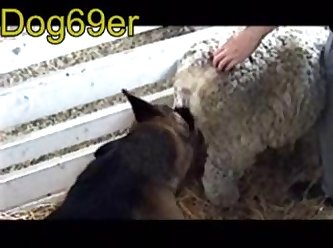 Extreme Porn Big Dick