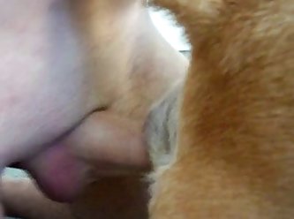 Extreme Organsm Porn