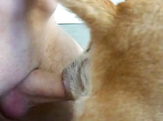 Extreme Organsm Porn