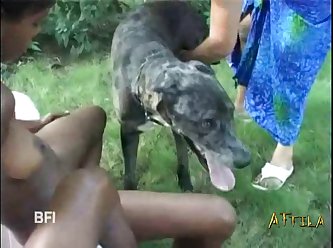 Extreme Brazil Porn
