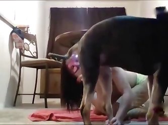 Extreme Porn Animals