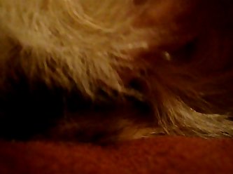 Extreme Fisting Porn Video