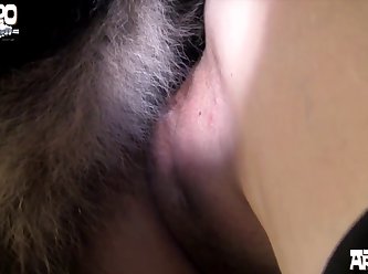 Extreme Fake Tits Porn