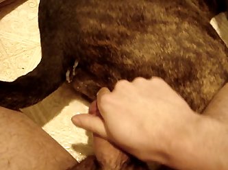 Massage Porn Extreme