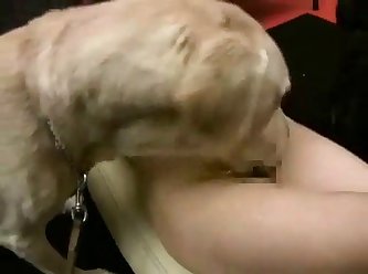 Mia Malkova Extreme Porn