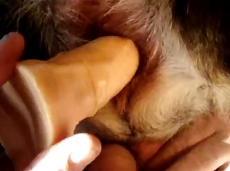 Extreme Sweaty Feet Porn