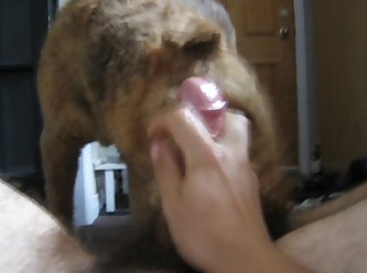 Slapping Extreme Porn