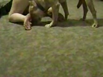 Harmony's Extreme Porn