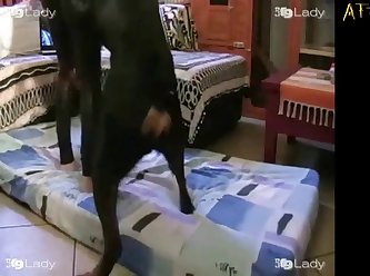 The Delighted Beauties Invited The Dog Back In Between
