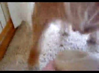 Extreme Skinny Girls Porn