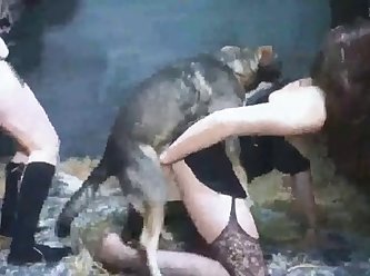 Extreme Brutal Rape Porn