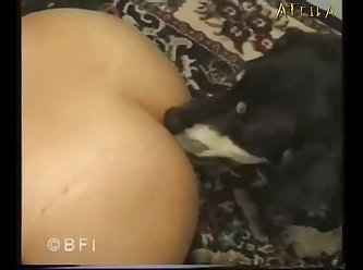 Extreme Bukkake Porn Videos
