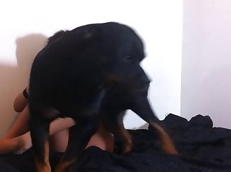 Porn Extreme Submissive