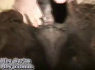 Porn Ebony Extreme