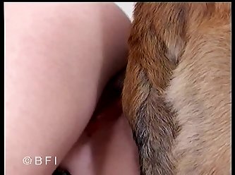 Bbw Extreme Anal Porn