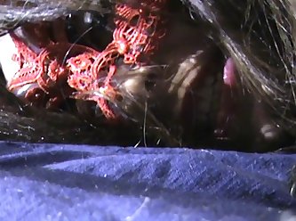 Holly Extreme Porn