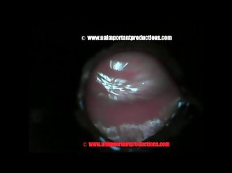 Hardcore Extreme Brutal Porn