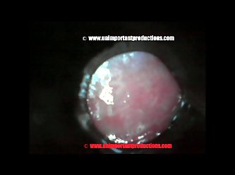 Hardcore Extreme Brutal Porn