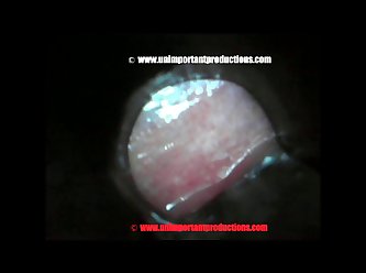 Hardcore Extreme Brutal Porn