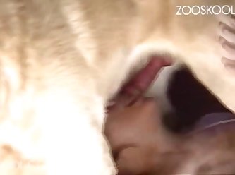 Best Extreme Porn Tubes