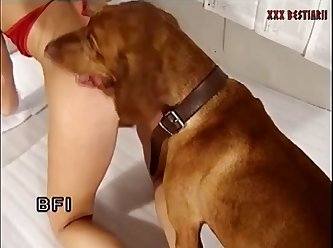 Punishment Porn Extreme
