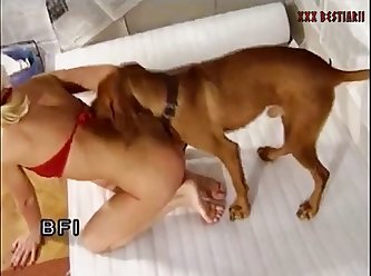 Punishment Porn Extreme