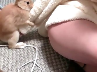 Japanese Extreme Bondage Porn