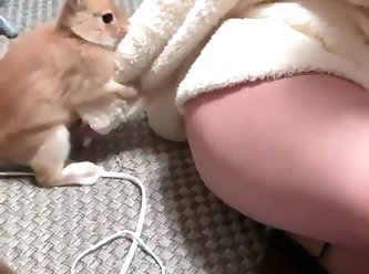 Japanese Extreme Bondage Porn