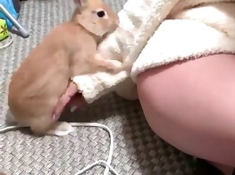 Japanese Extreme Bondage Porn